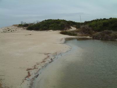 DSCF0077.JPG